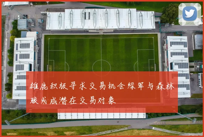 雄鹿积极寻求交易机会绿军与森林狼或成潜在交易对象