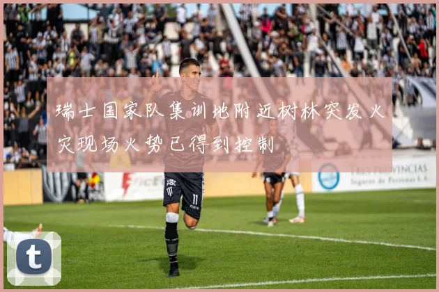 瑞士国家队集训地附近树林突发火灾现场火势已得到控制