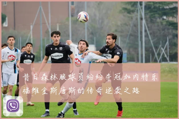 昔日森林狼球员纷纷夺冠加内特乐福维金斯唐斯的传奇逆袭之路